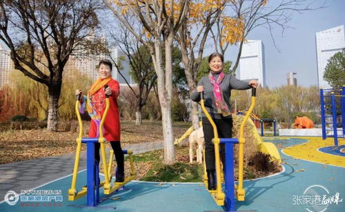 文明實踐新風尚，志愿服務(wù)譜新篇——張家港市文明實踐志愿服務(wù)主題公園建成投用