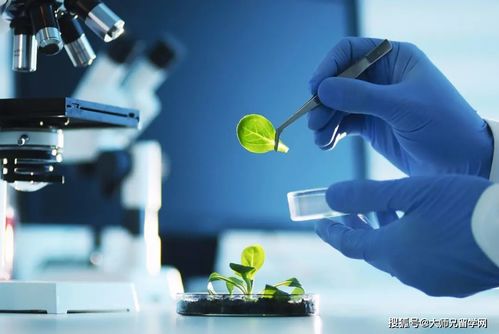 留學馬來西亞 生物技術與生物技術開發，如何區分這對“雙胞胎”專業？