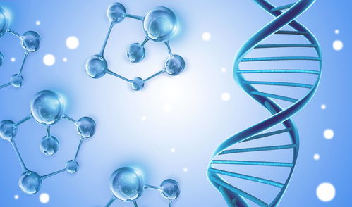 2021年CDMO服務與左旋肉堿產品市場分析及生物技術開發(fā)趨勢