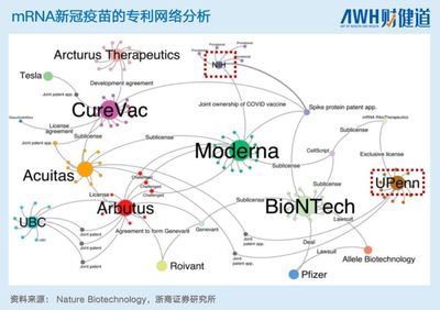 中國本土mRNA技術 差距、突破與未來之路
