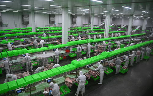 內(nèi)鄉(xiāng)牧原食品城正式投入運(yùn)行 一期投資5億元，年屠宰加工200萬(wàn)頭生豬，推動(dòng)生物技術(shù)開(kāi)發(fā)